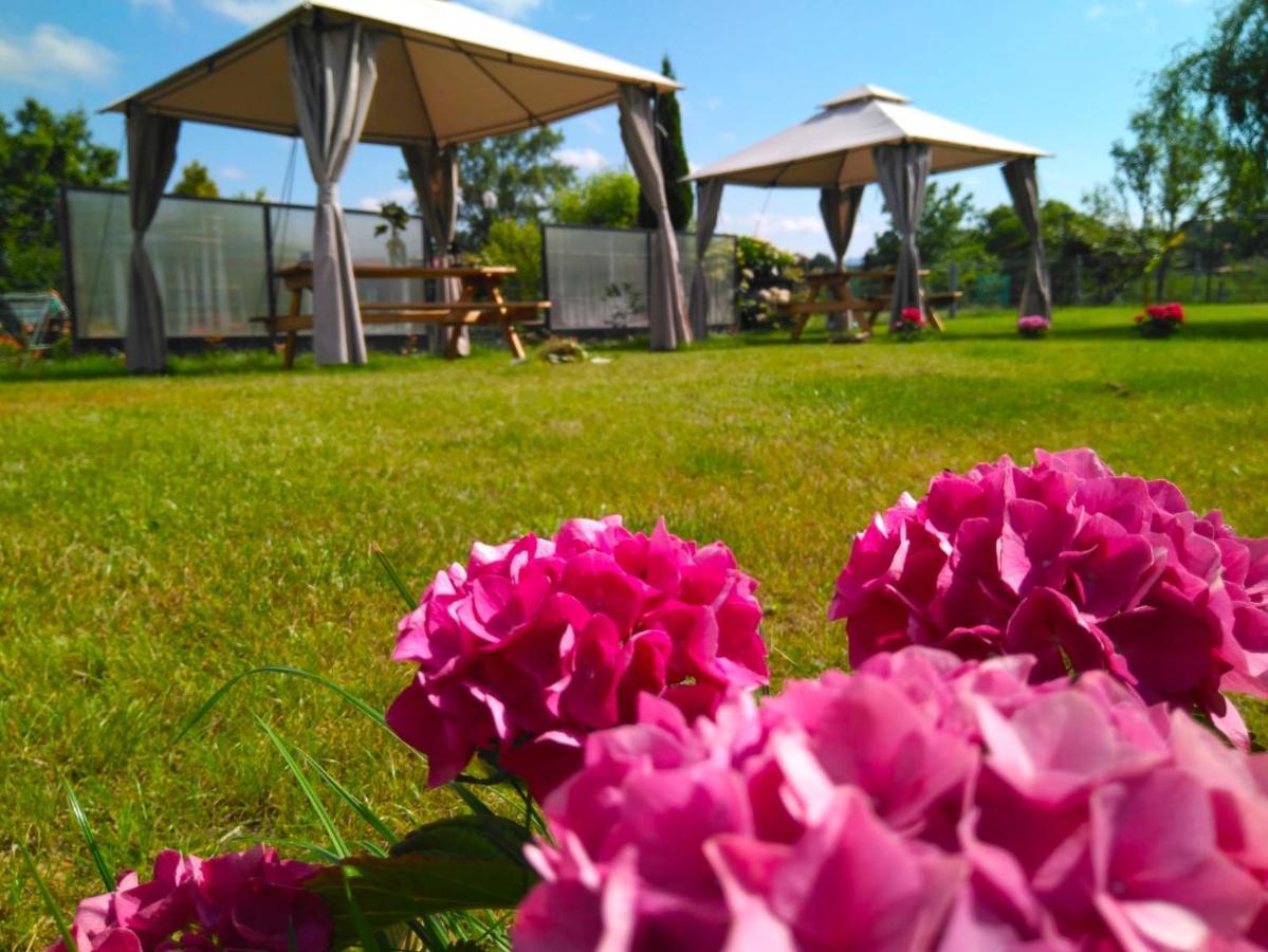 Casa Pepin - Sagasta Rural Oviedo Guest House Exterior foto